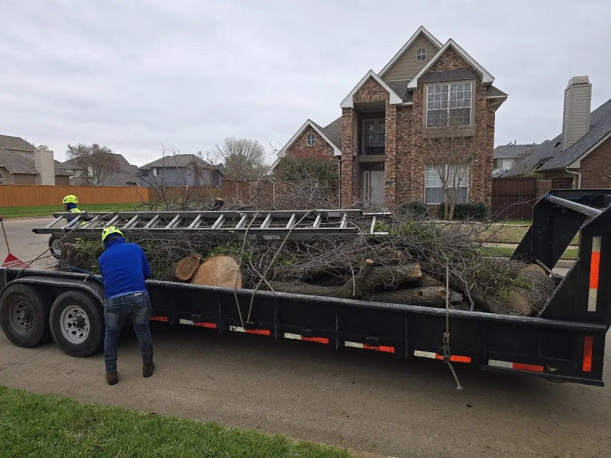 Expert Tree Fertilization with proper safety equipment in Hazel